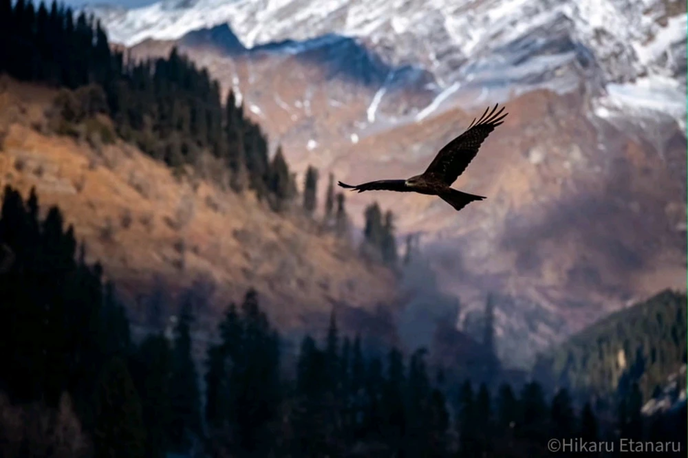 Image uploaded by Aarsh