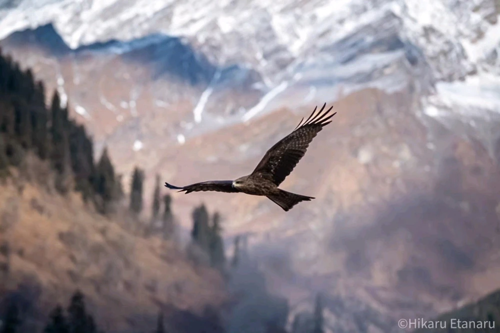 Image uploaded by Aarsh