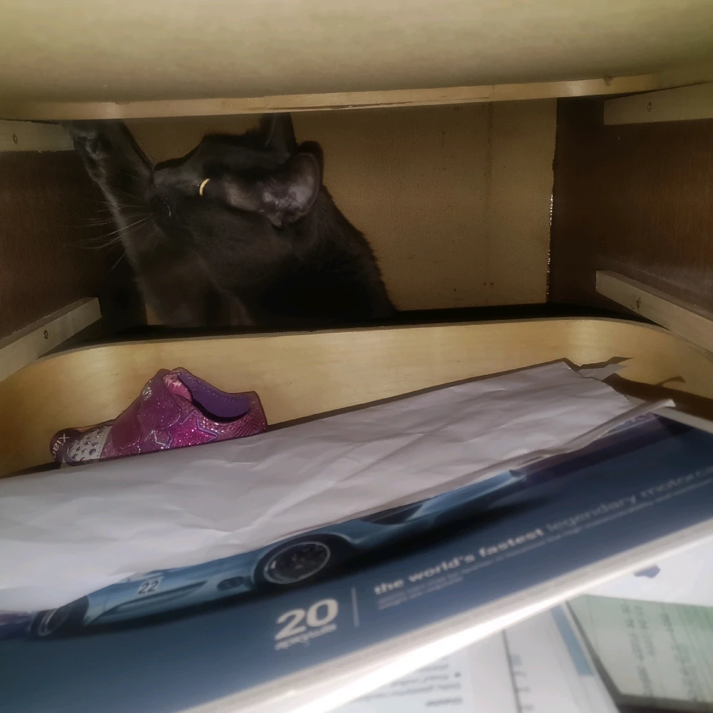 Image uploaded by Sofija