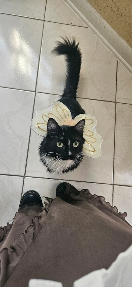 Image uploaded by Sol