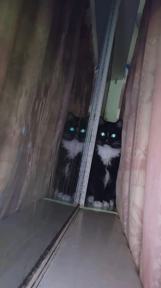 Image uploaded by Sol