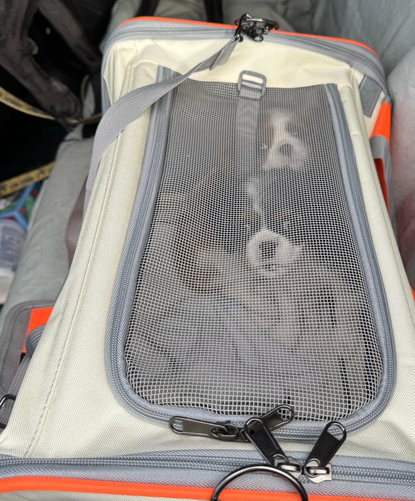 Image uploaded by Michael