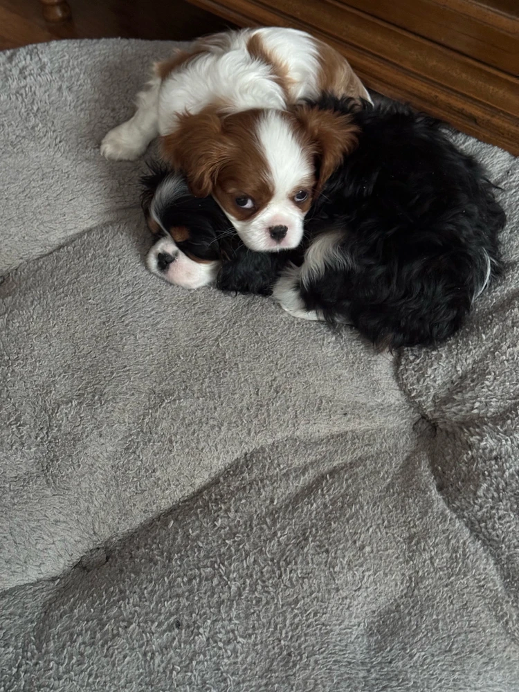 Image uploaded by Michael