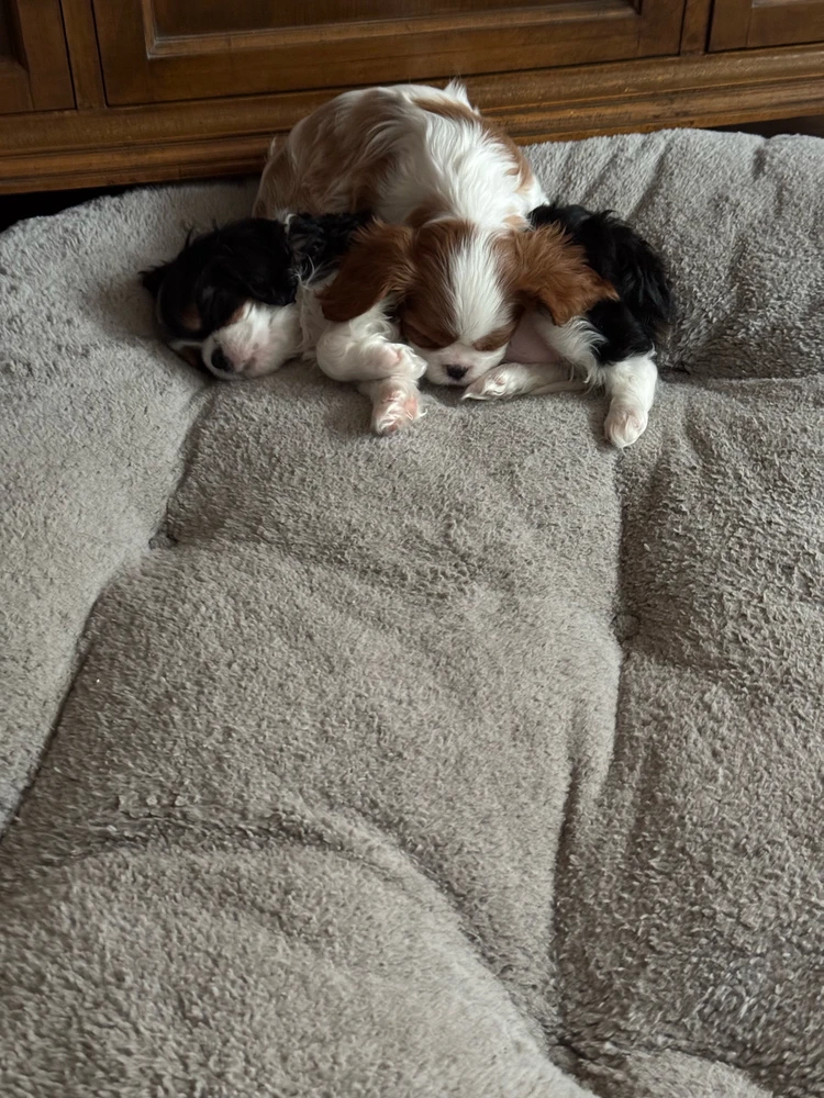 Image uploaded by Michael