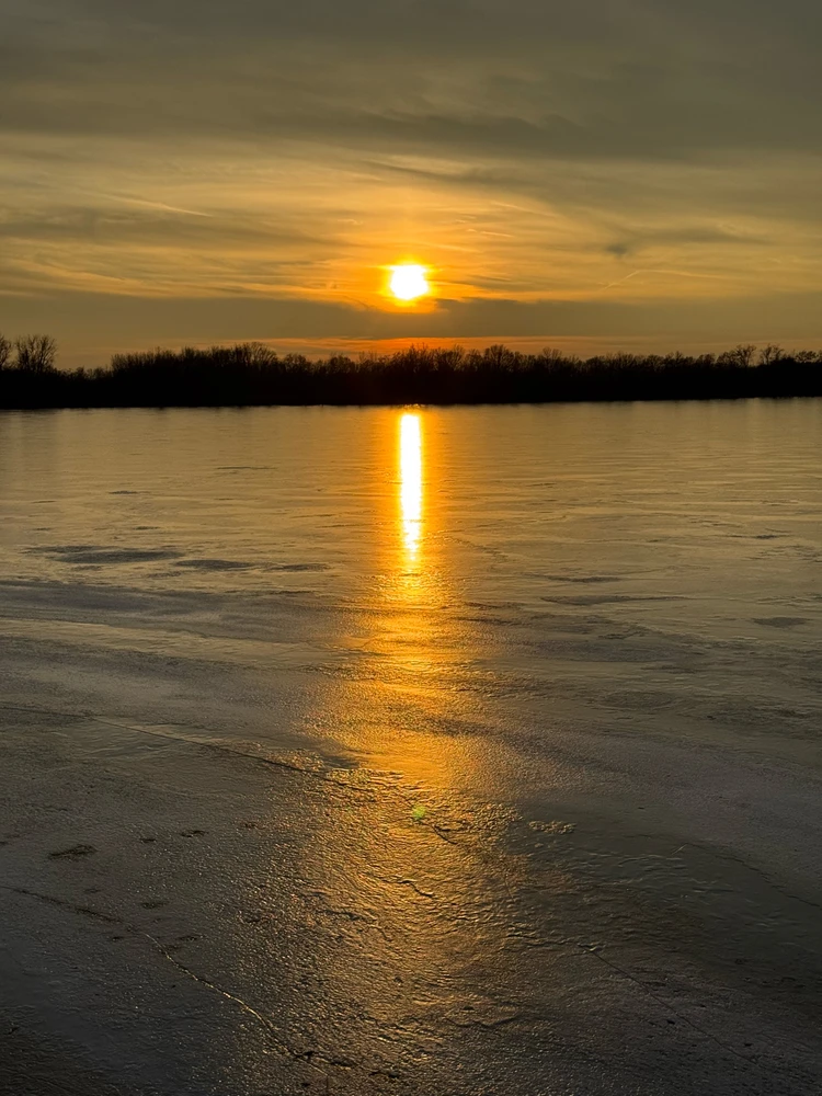 Gambar diunggah dening Michael