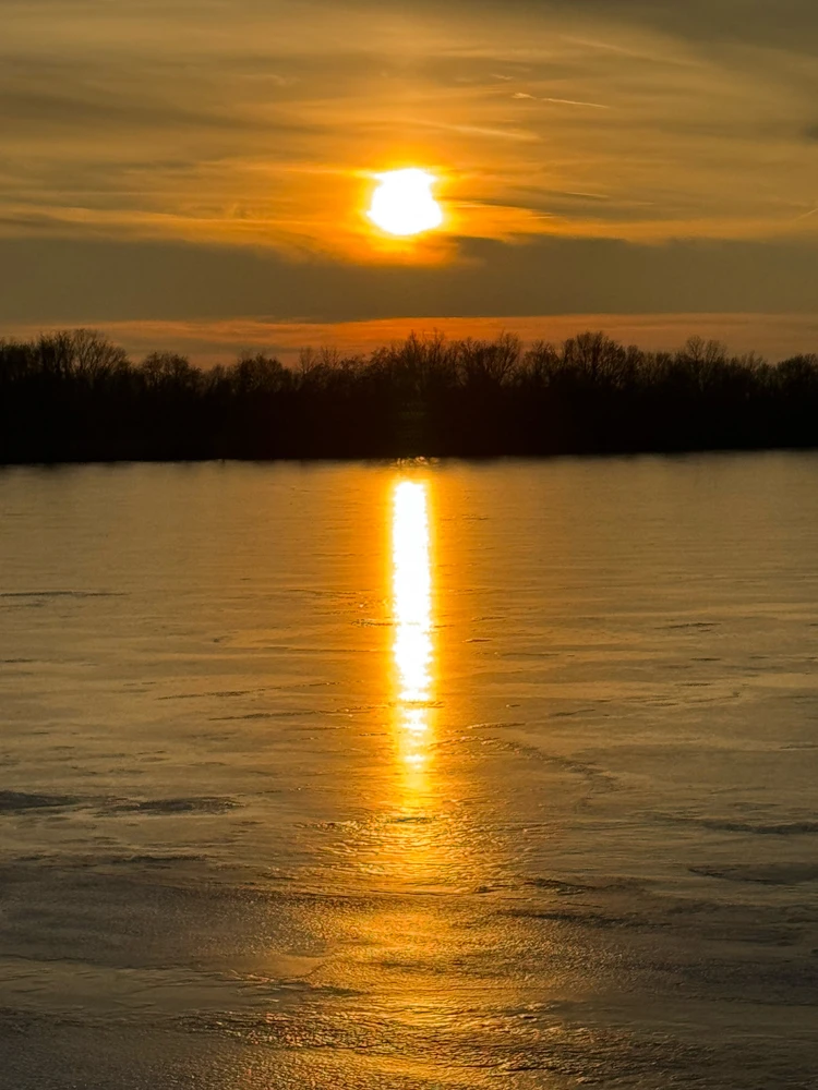 Gambar diunggah dening Michael