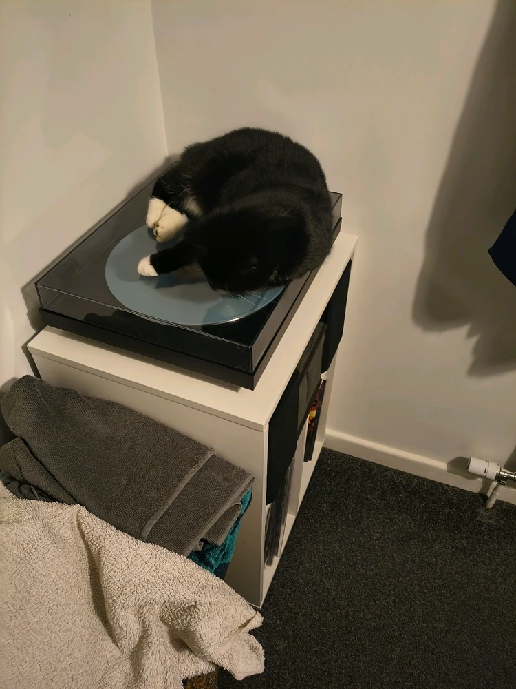 Laufey - A matter of time