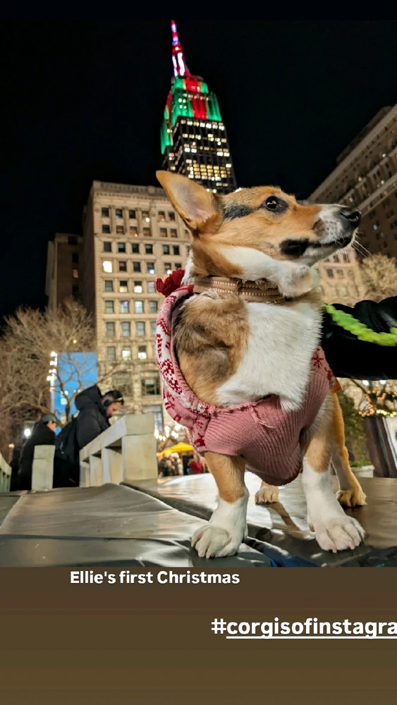 Image uploaded by Ruben