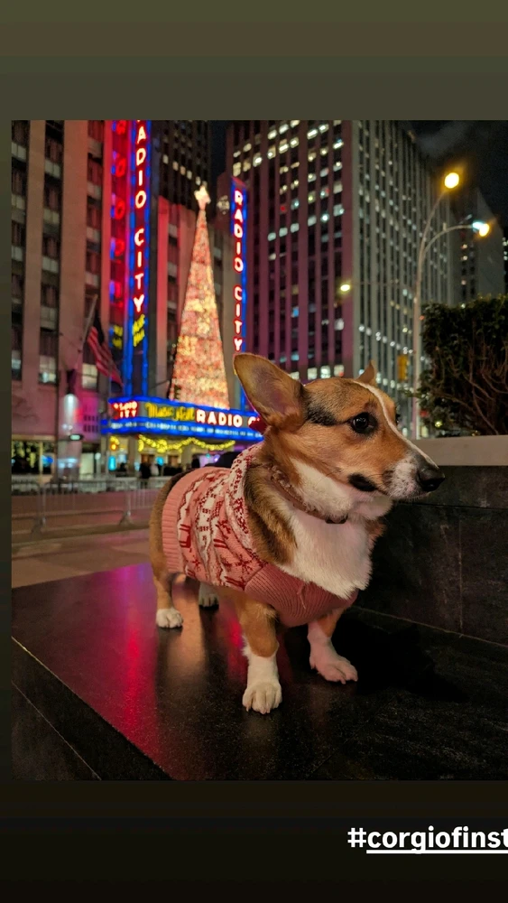 Image uploaded by Ruben