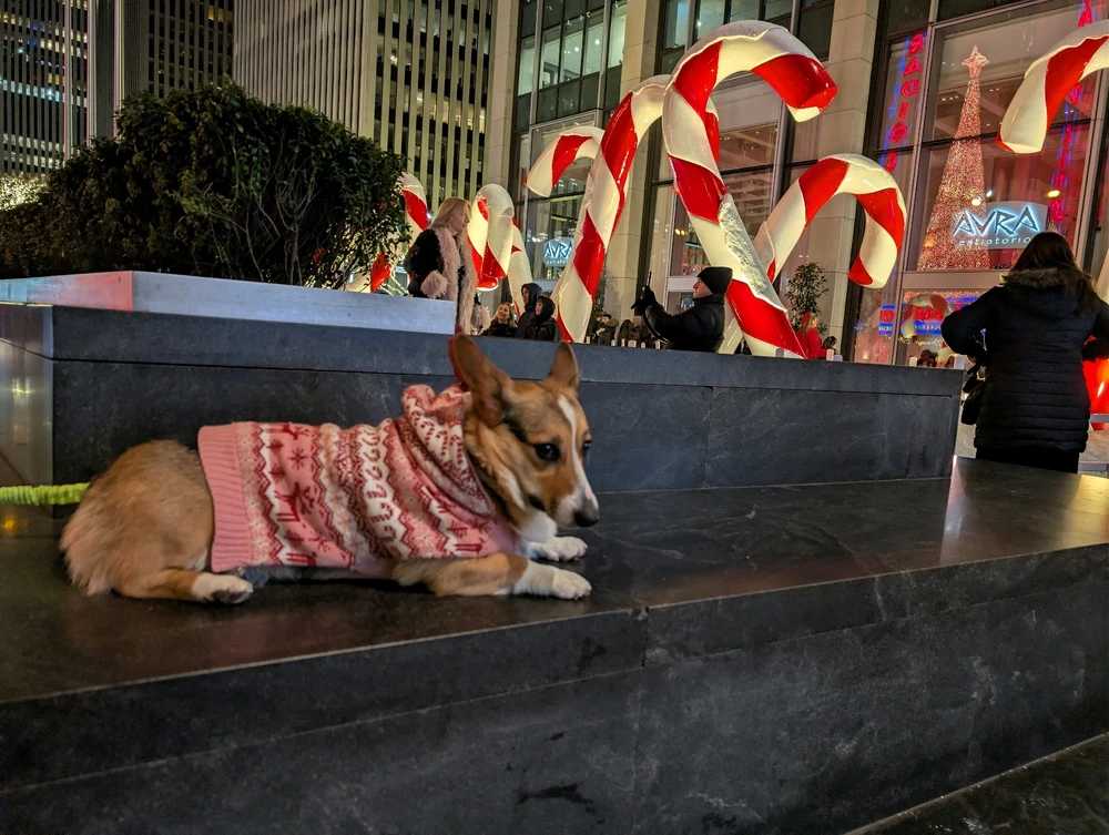 Image uploaded by Ruben