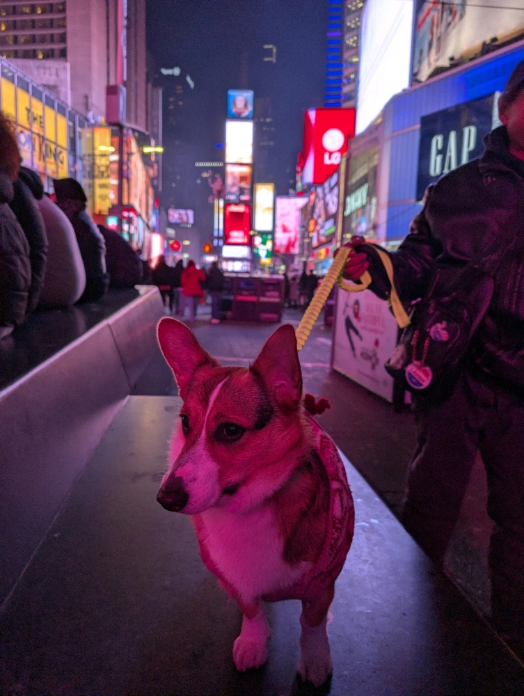 Image uploaded by Ruben