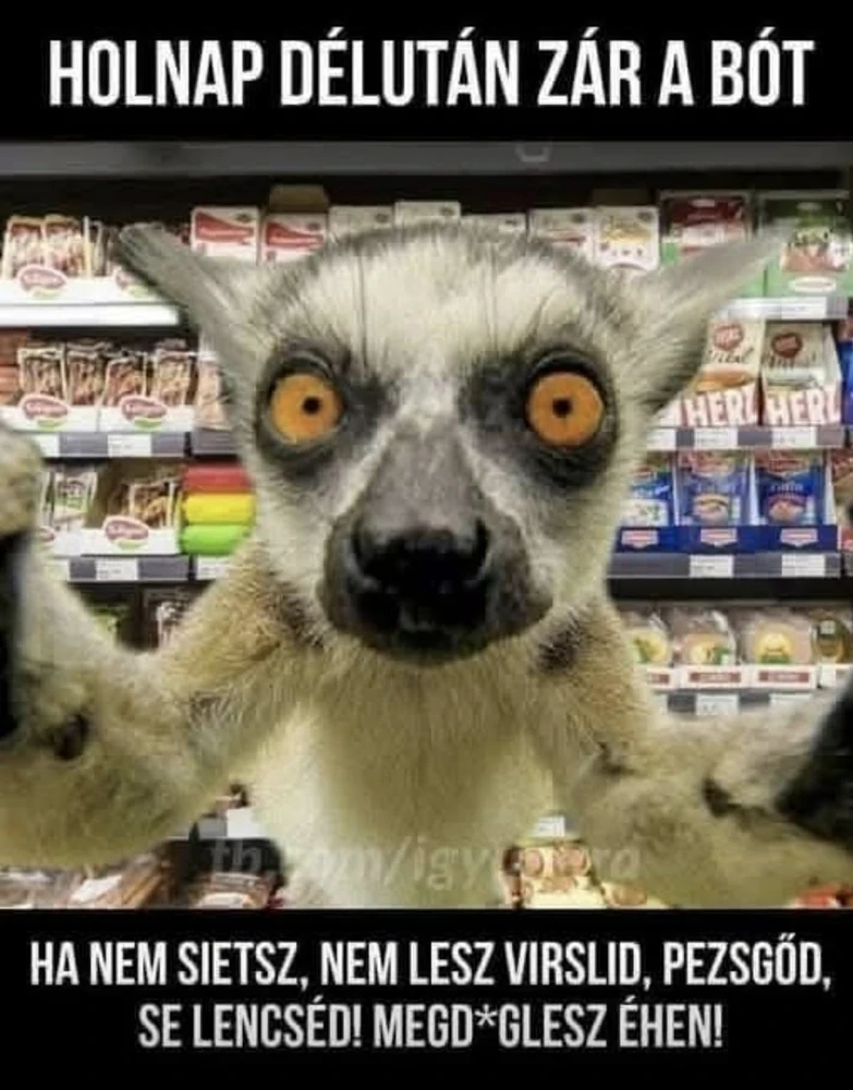 Máté által feltöltött kép