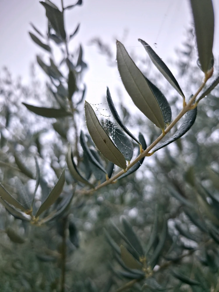 Immagine caricata da Simo