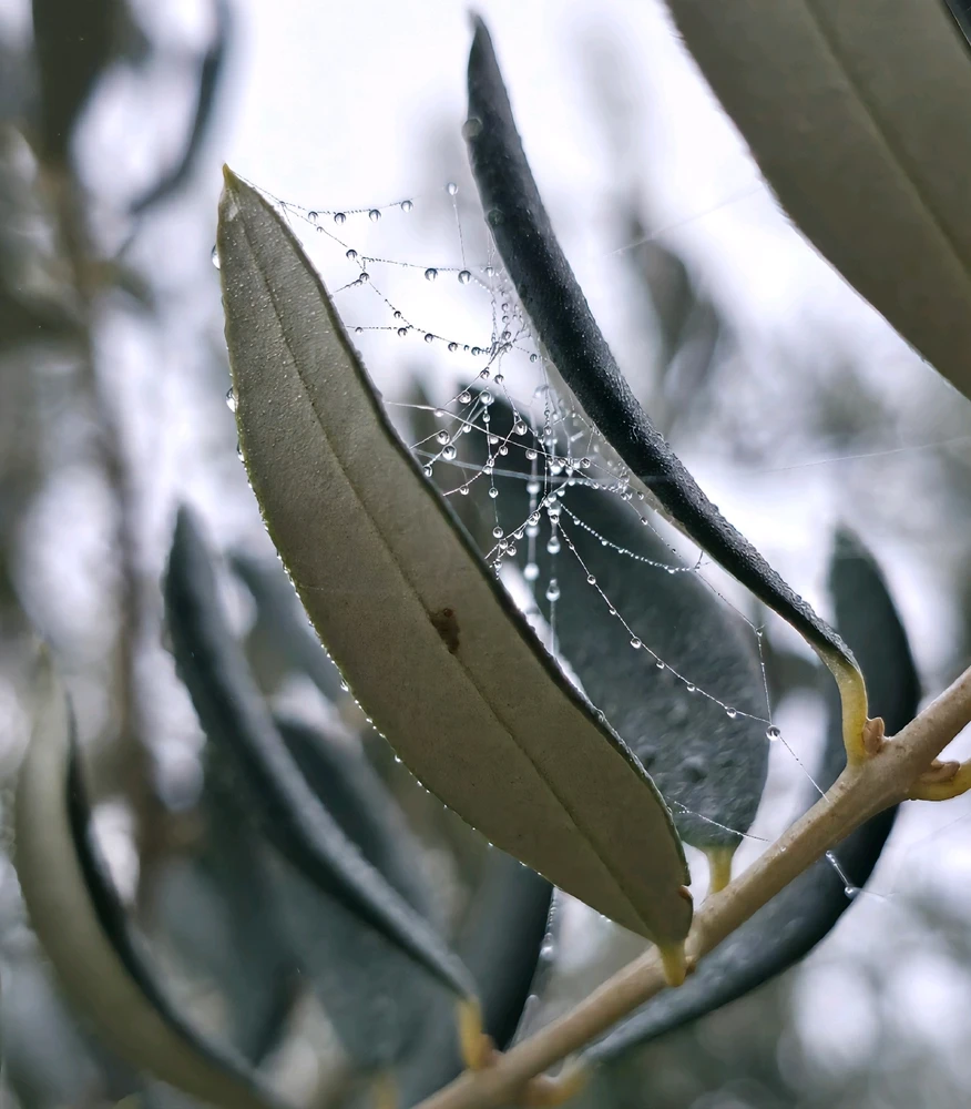 Immagine caricata da Simo