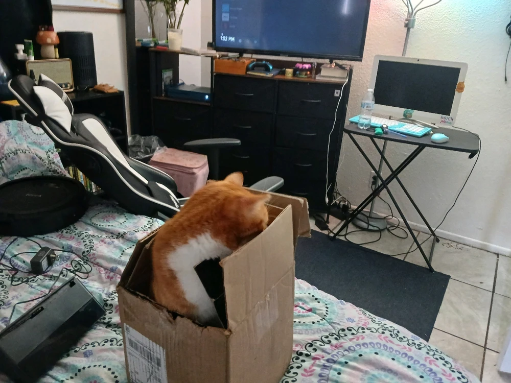 Image uploaded by Naomi