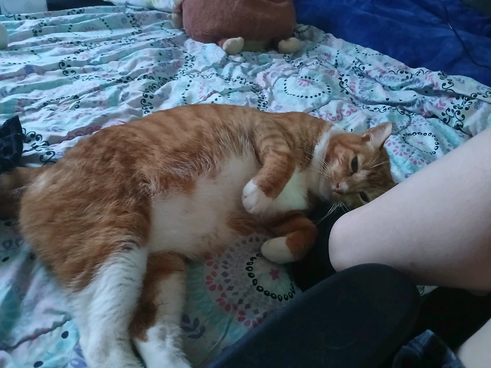 Image uploaded by Naomi