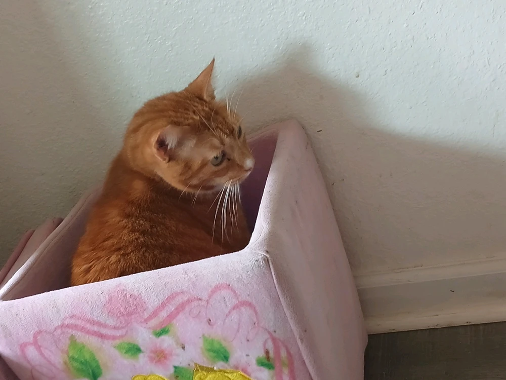 Image uploaded by Naomi