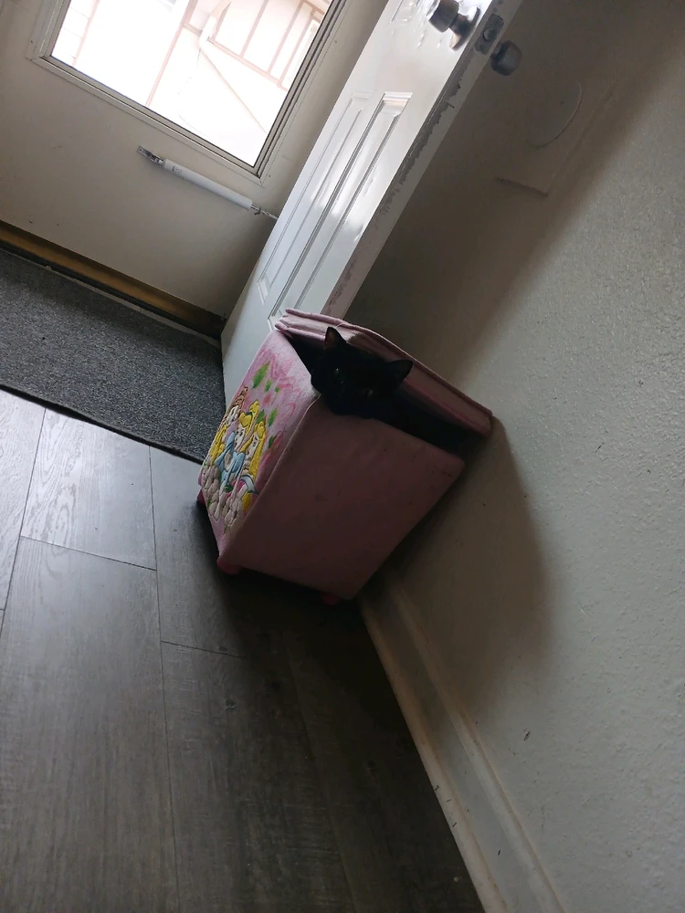 Image uploaded by Naomi