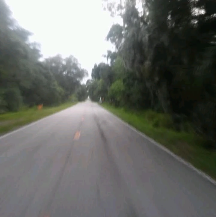 GIF diunggah dening David