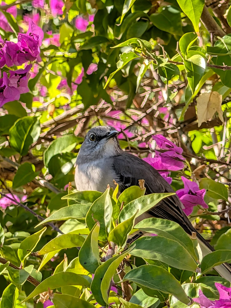 GIF uploaded by Michael