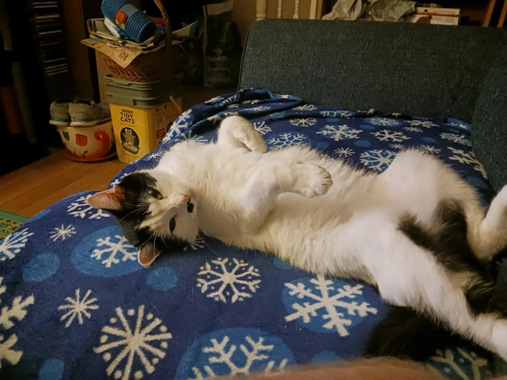 Image uploaded by Bobby