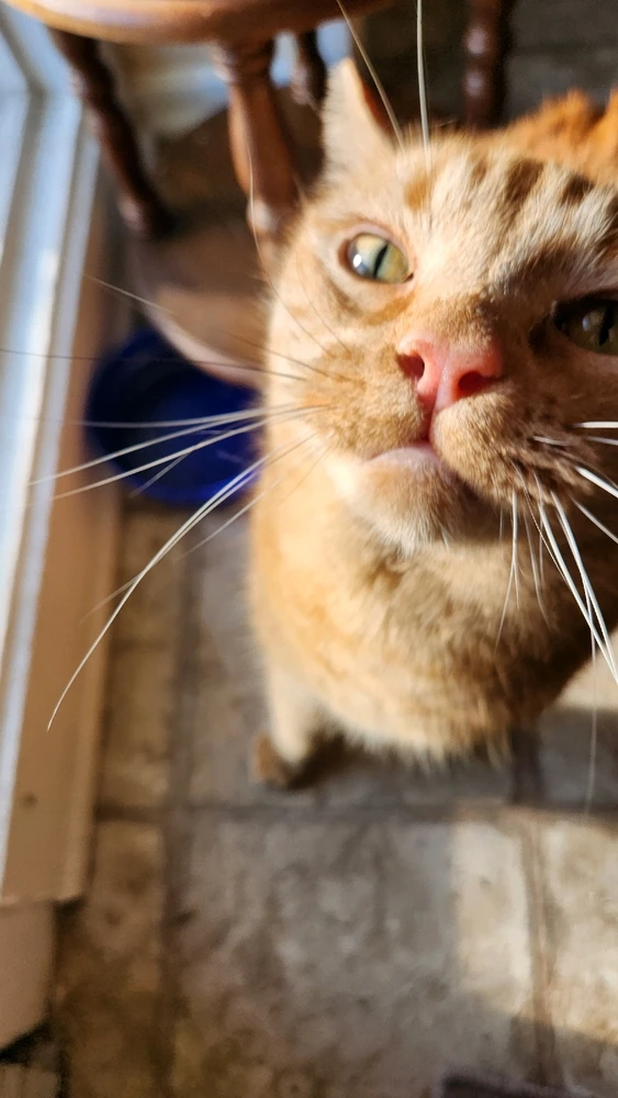 Image uploaded by Maddy