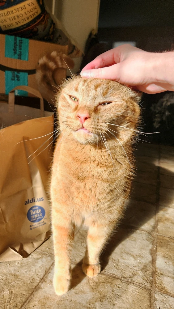 Image uploaded by Maddy