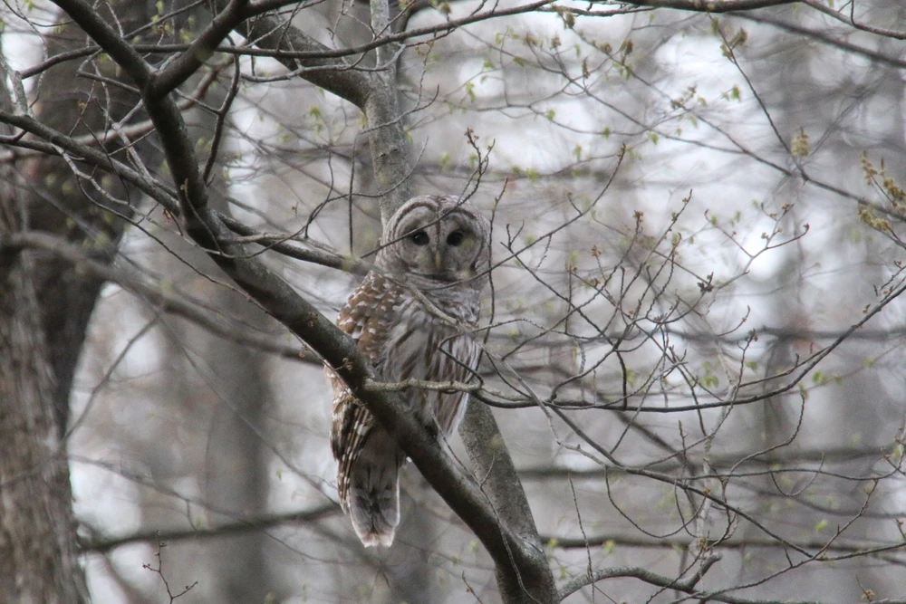 GIF diunggah dening Andrew