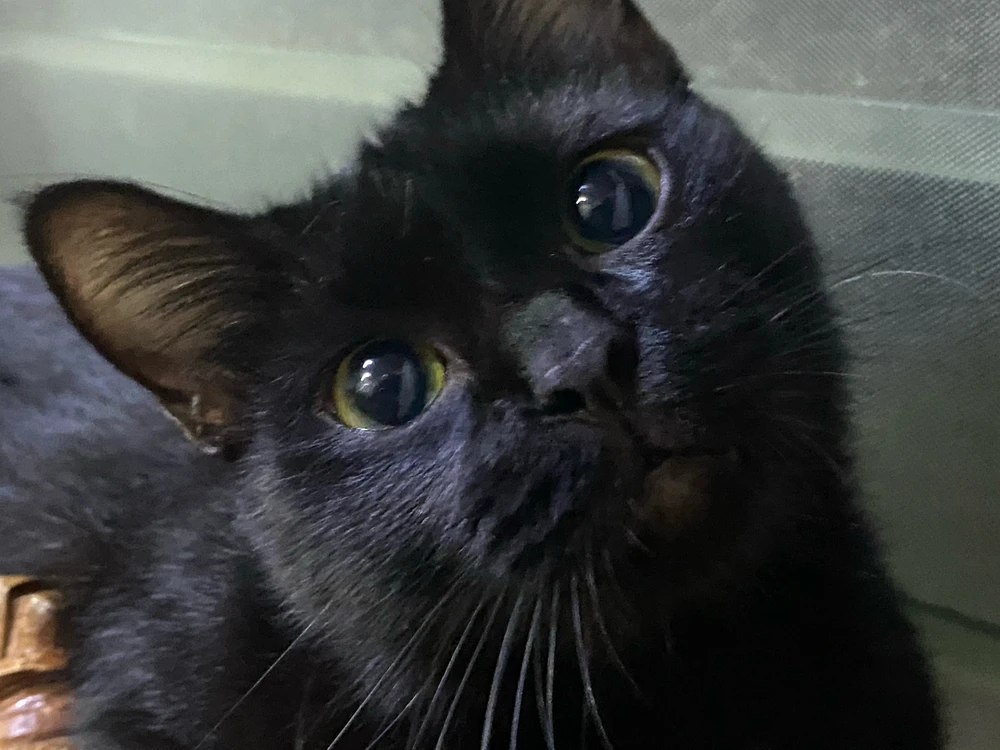 Image uploaded by Ria