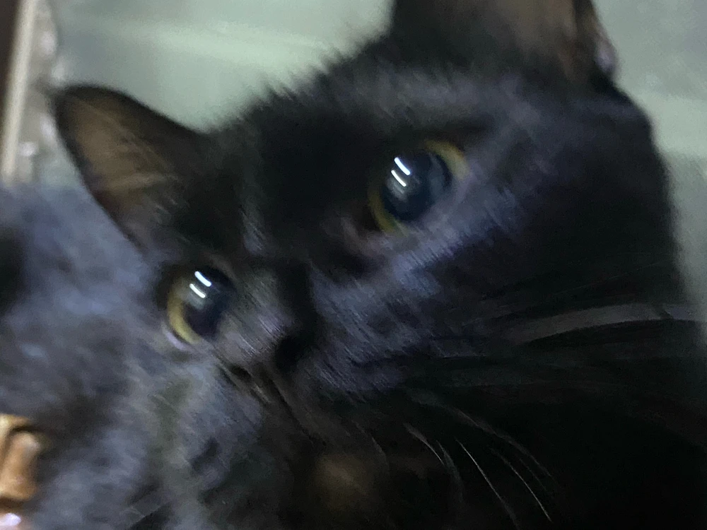 Image uploaded by Ria