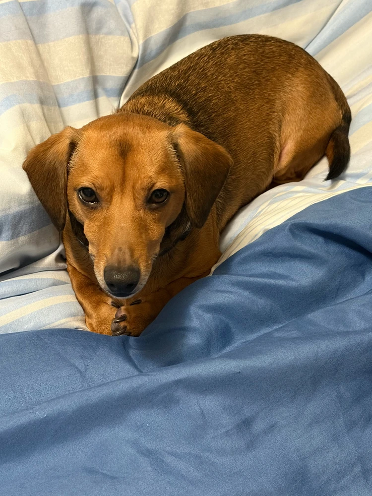 GIF uploaded by Owen