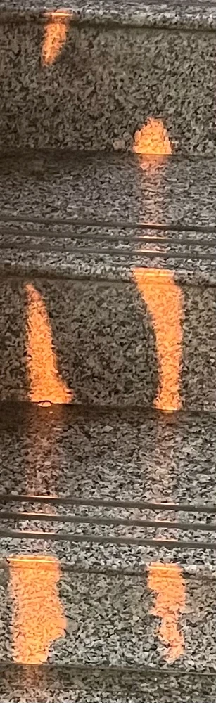 GIF uploaded by Windy