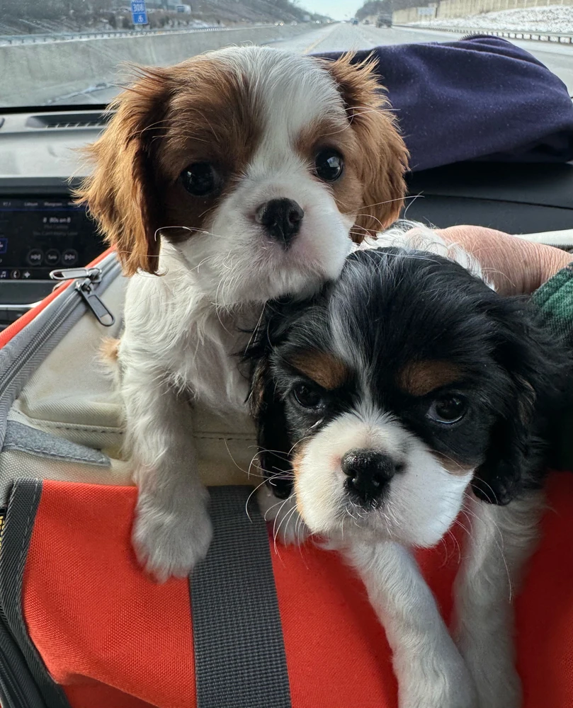 GIF uploaded by Michael