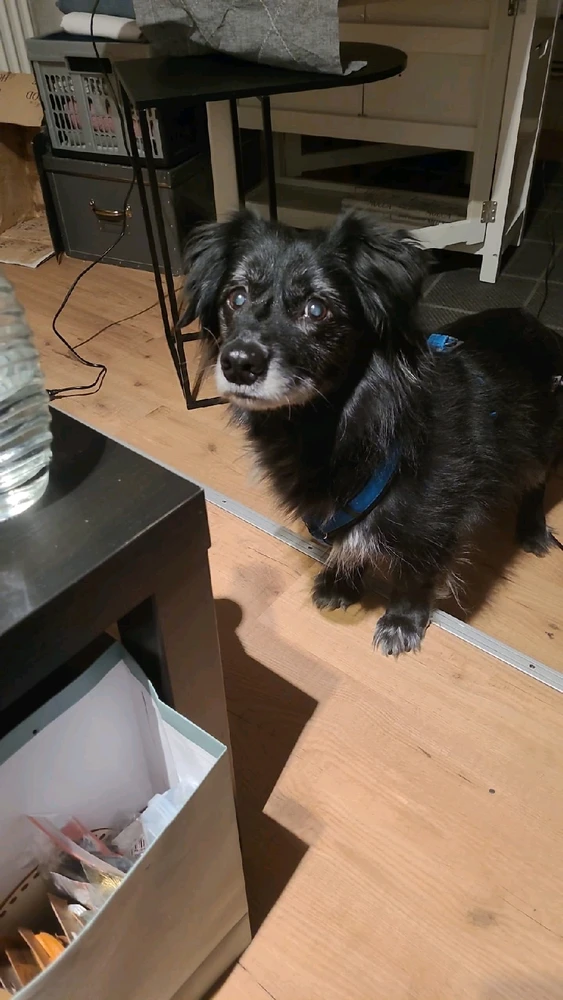 GIF uploaded by Danny