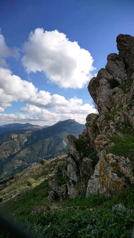 GIF uploaded by Mounir