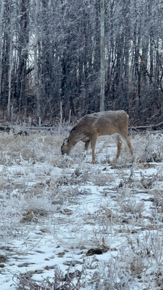 GIF uploaded by Victor