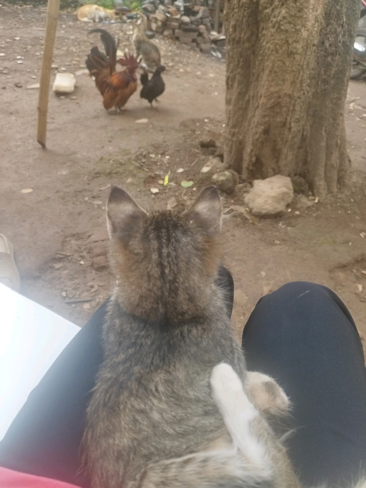 Image uploaded by Na