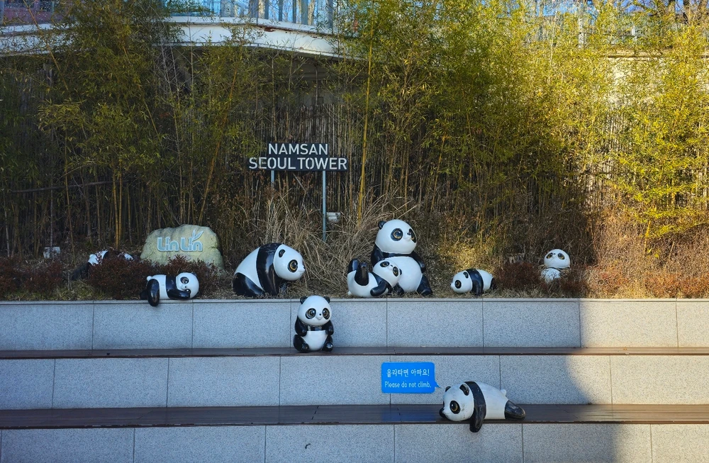 Image uploaded by Roxana