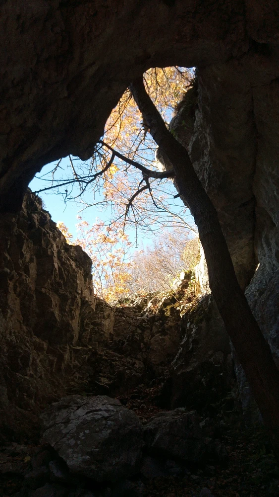 GIF uploaded by Kristian