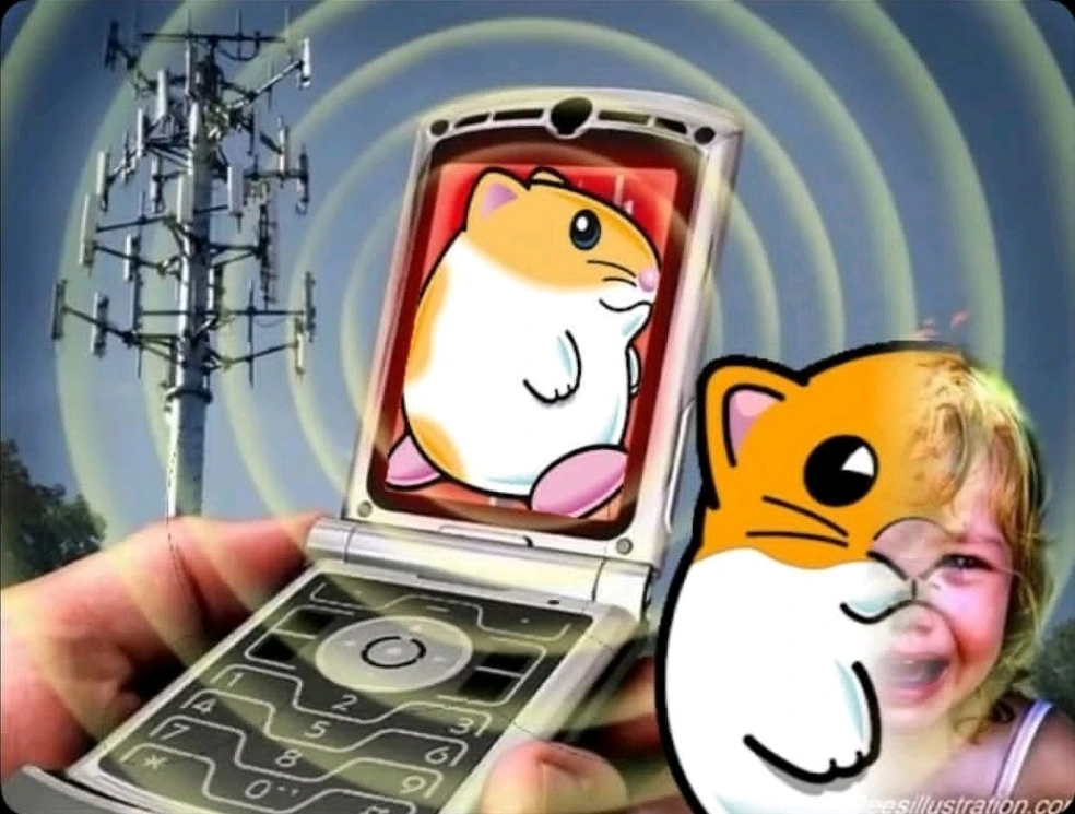 Image uploaded by Quinn