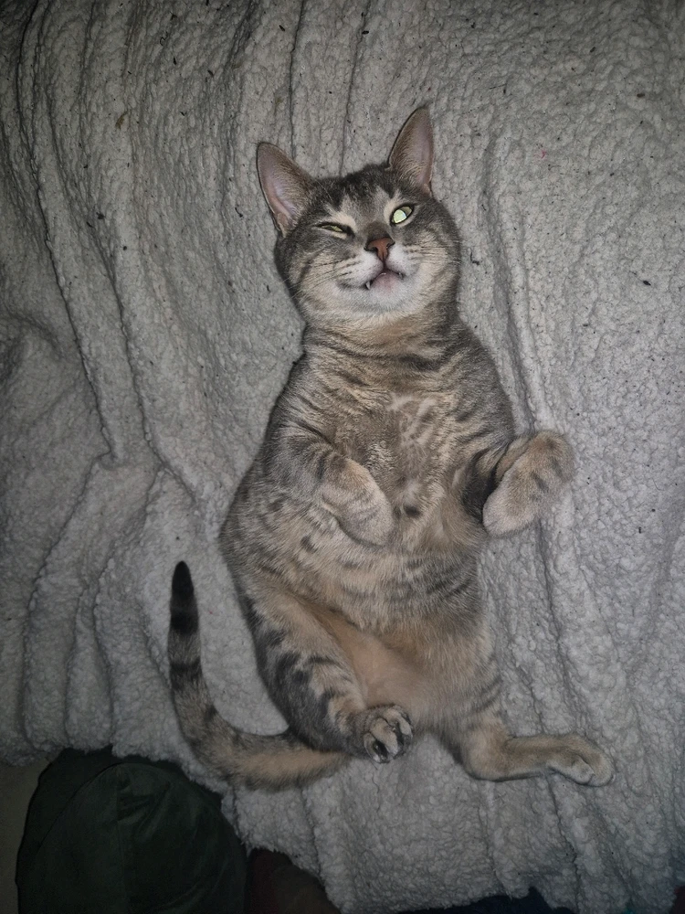 GIF subido por LightBreeze