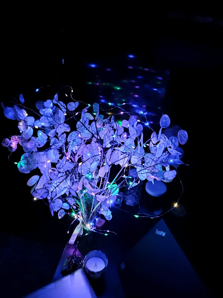 Зображення завантажив Маry