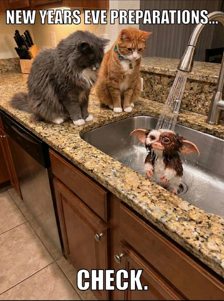 GIF otpremio/la Đorđe