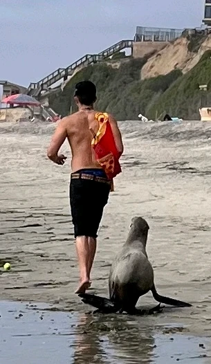 GIF uploaded by Nwskyn