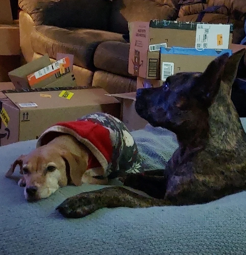 GIF uploaded by Ziggy