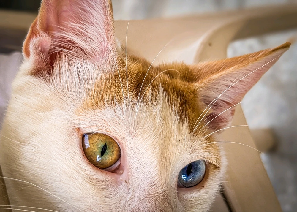 GIF uploaded by Dimitris