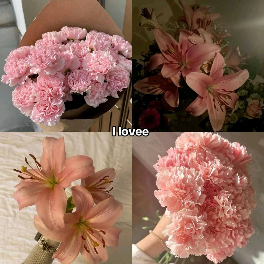 Gambar diunggah dening Kristin Ross