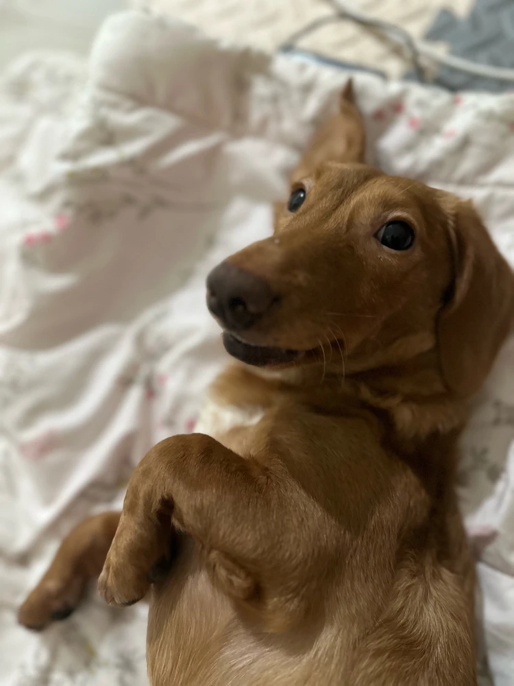 GIF uploaded by Dyah N