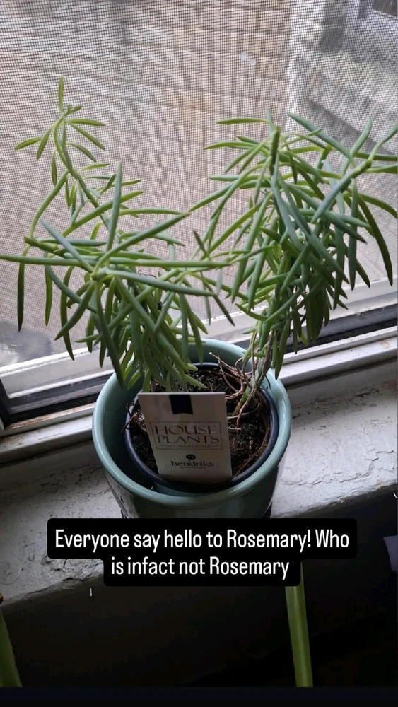 GIF uploaded by Jordan