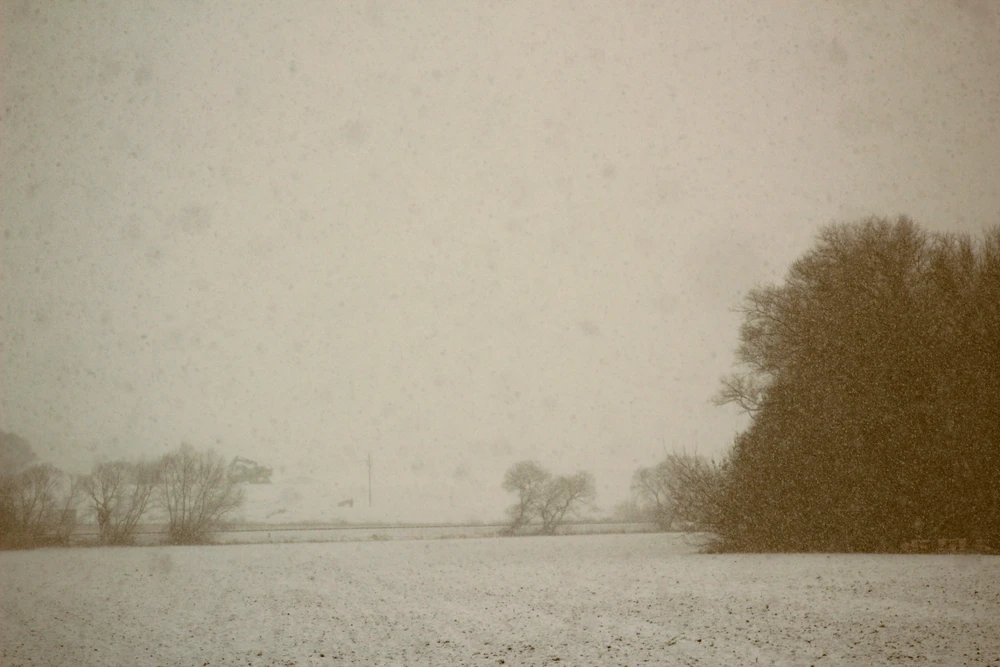 Image uploaded by Tomas